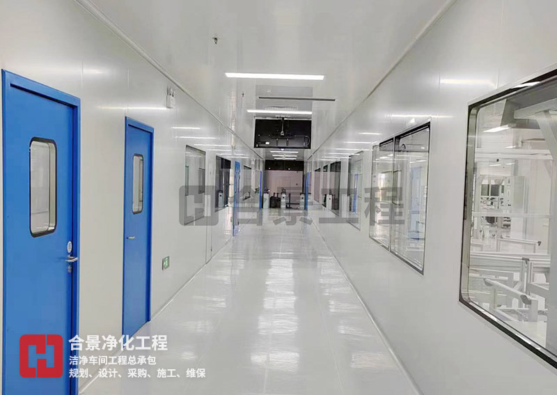 南京國科環宇潔凈廠房 南京國科環宇潔凈廠房