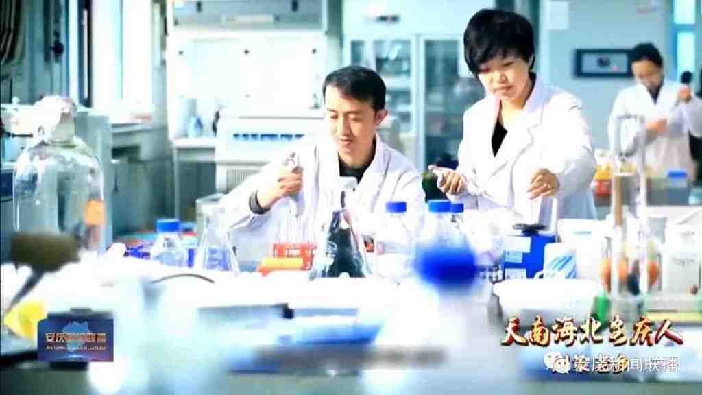 安慶電視臺專訪合景盛世集團朱紹群 安慶電視臺專訪合景盛世集團朱紹群