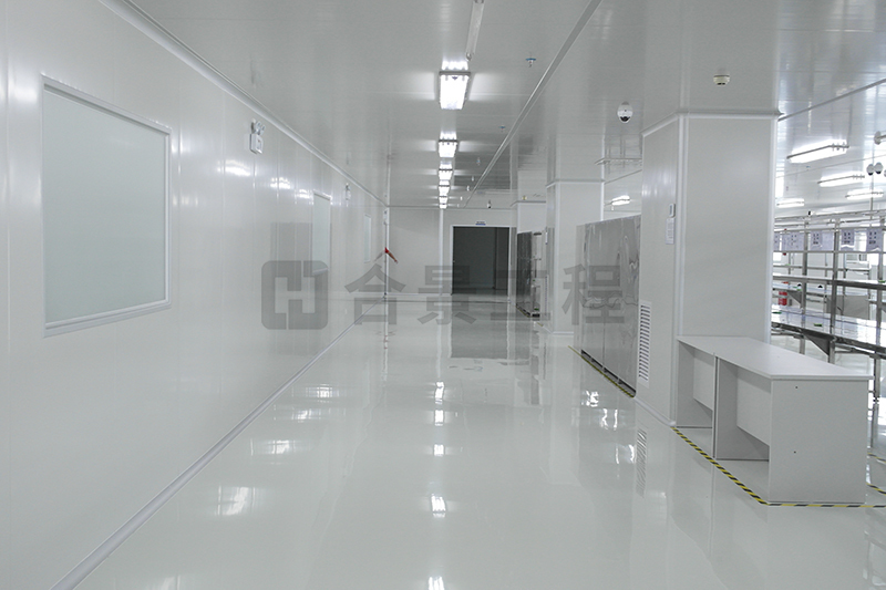 瑞立科密凈化工程案例 瑞立科密凈化工程案例